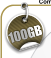 100GB