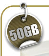 50GB