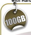 100GB