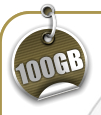100GB